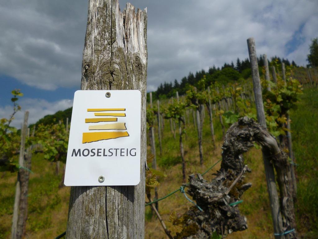 Hotel "Zur Moselterrasse" Palzem Eksteriør billede