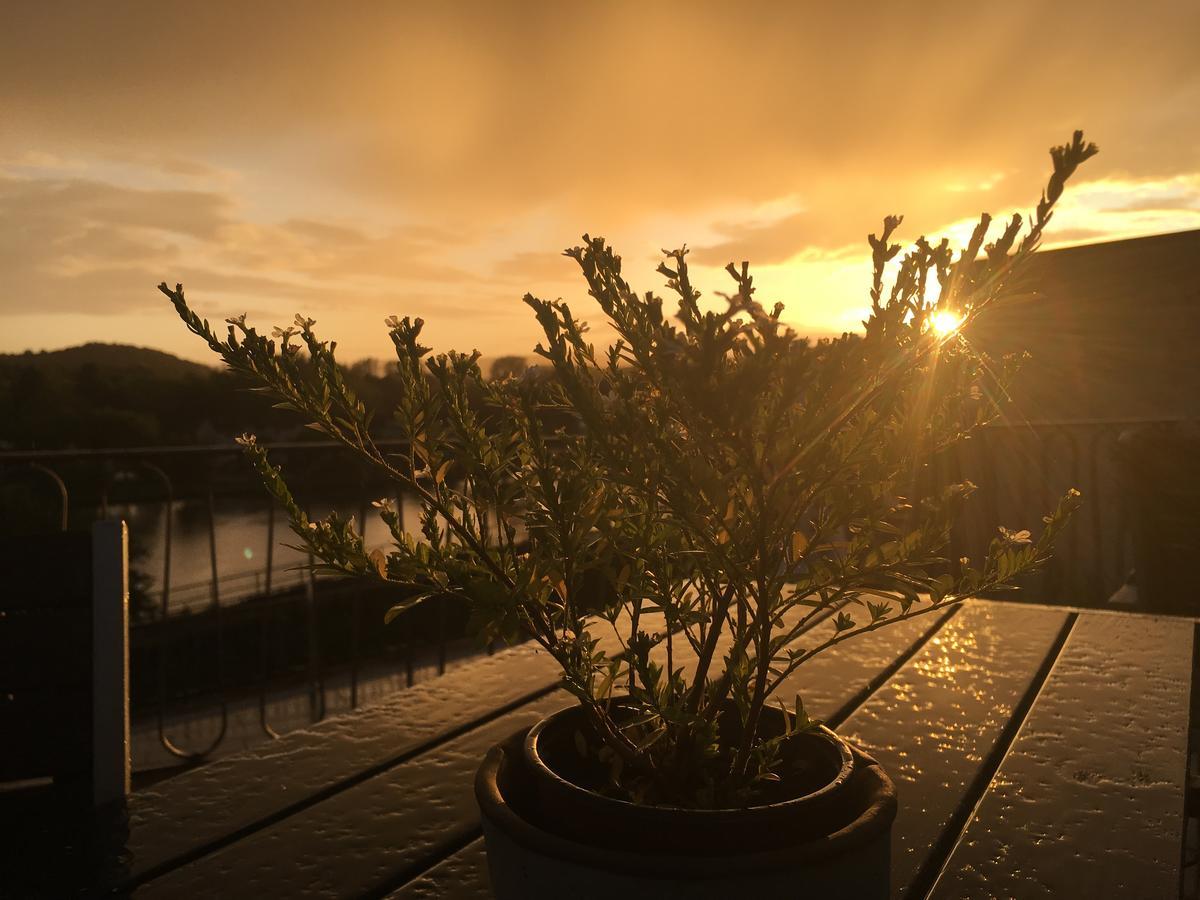 Hotel "Zur Moselterrasse" Palzem Eksteriør billede