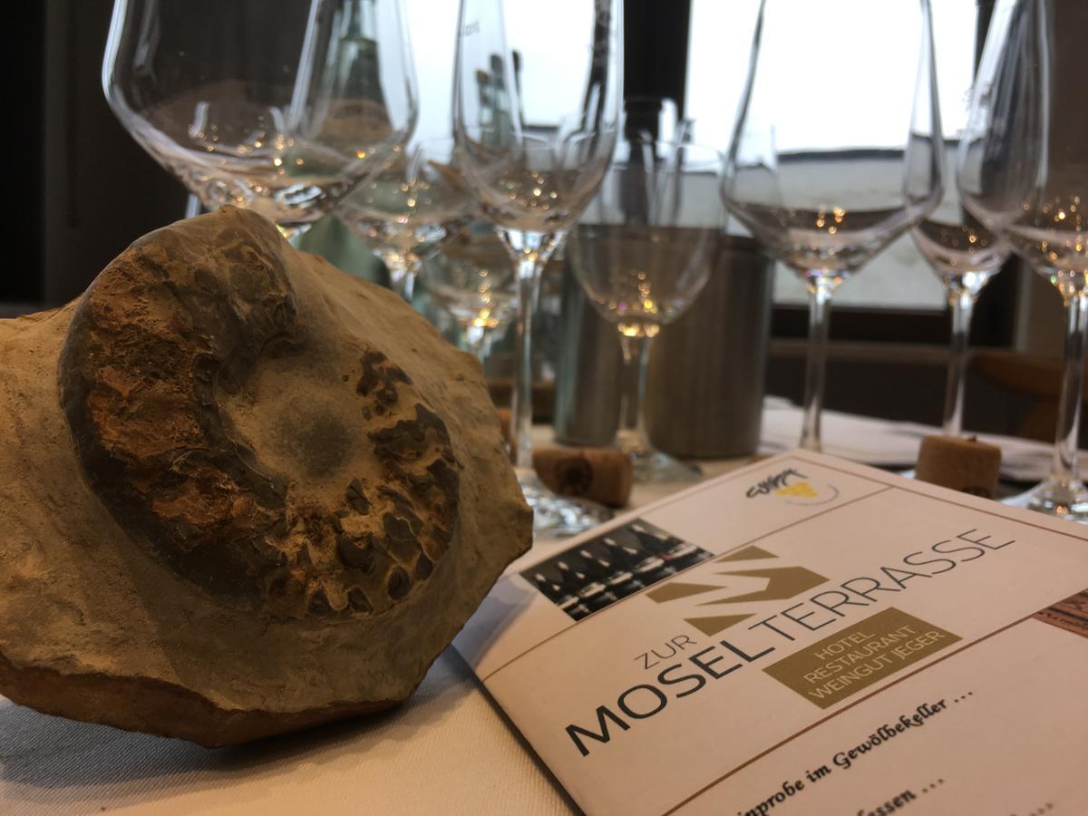Hotel "Zur Moselterrasse" Palzem Eksteriør billede